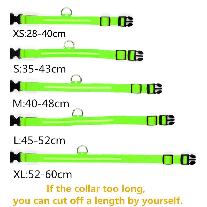 Rechargeable LED Dog Collar - BlissfulBasic