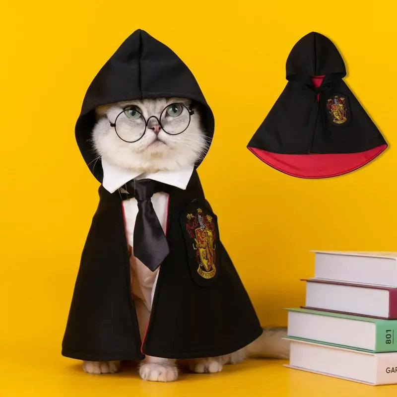 Halloween Wizard/Witch Pet Costume | available at BlissfulBasic.com