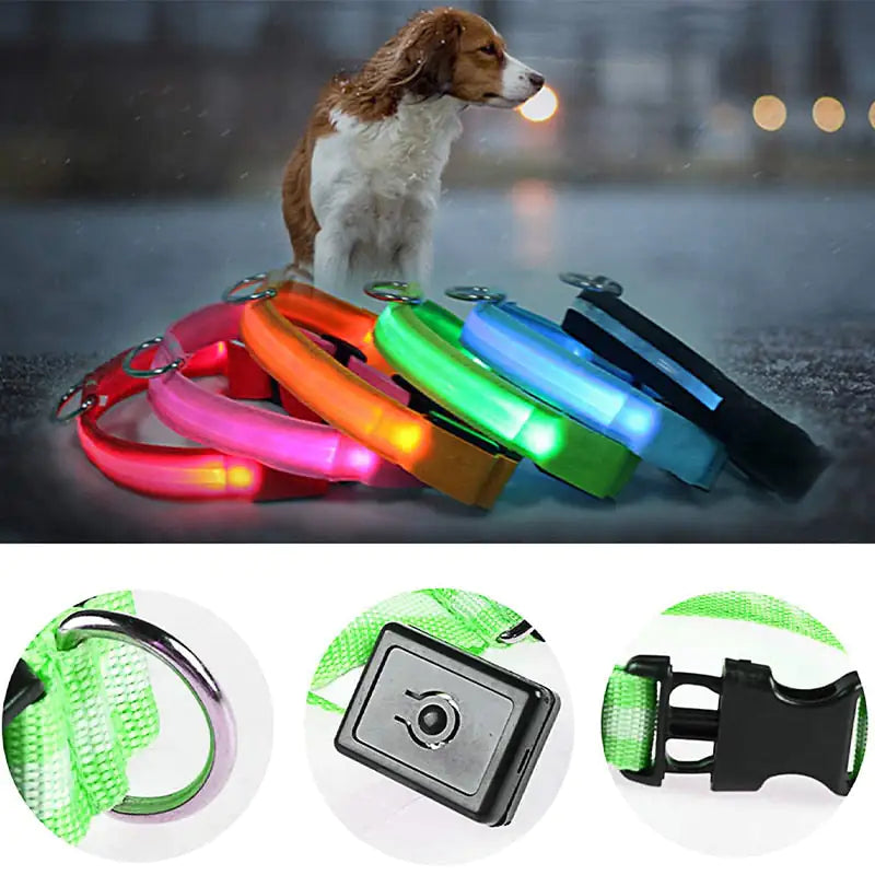 Rechargeable LED Dog Collar - BlissfulBasic