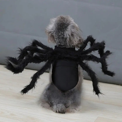 Spider Costume for Pets: Transform Your Furry Friend into a Spooktacular Superhero