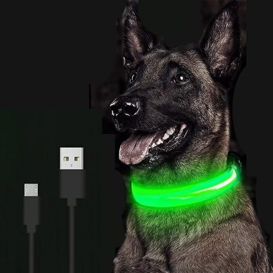 Rechargeable LED Dog Collar - BlissfulBasic