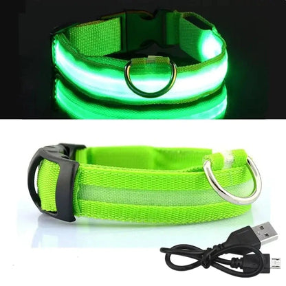 Rechargeable LED Dog Collar - BlissfulBasic