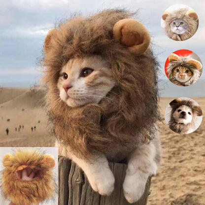 Lions Mane Cat Costume