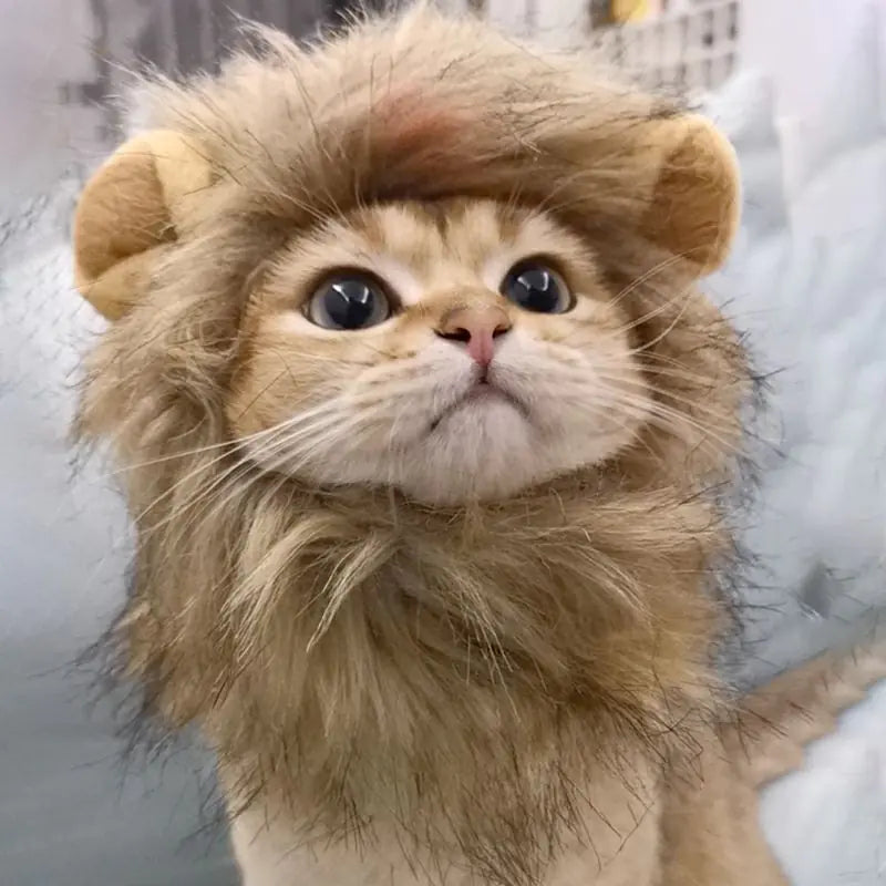 Lions Mane Cat Costume