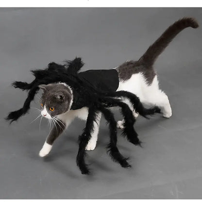 Spider Costume for Pets: Transform Your Furry Friend into a Spooktacular Superhero