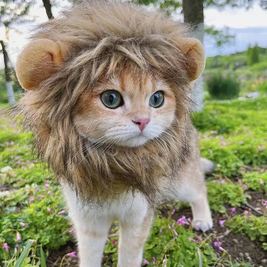 Lions Mane Cat Costume | available at BlissfulBasic.com