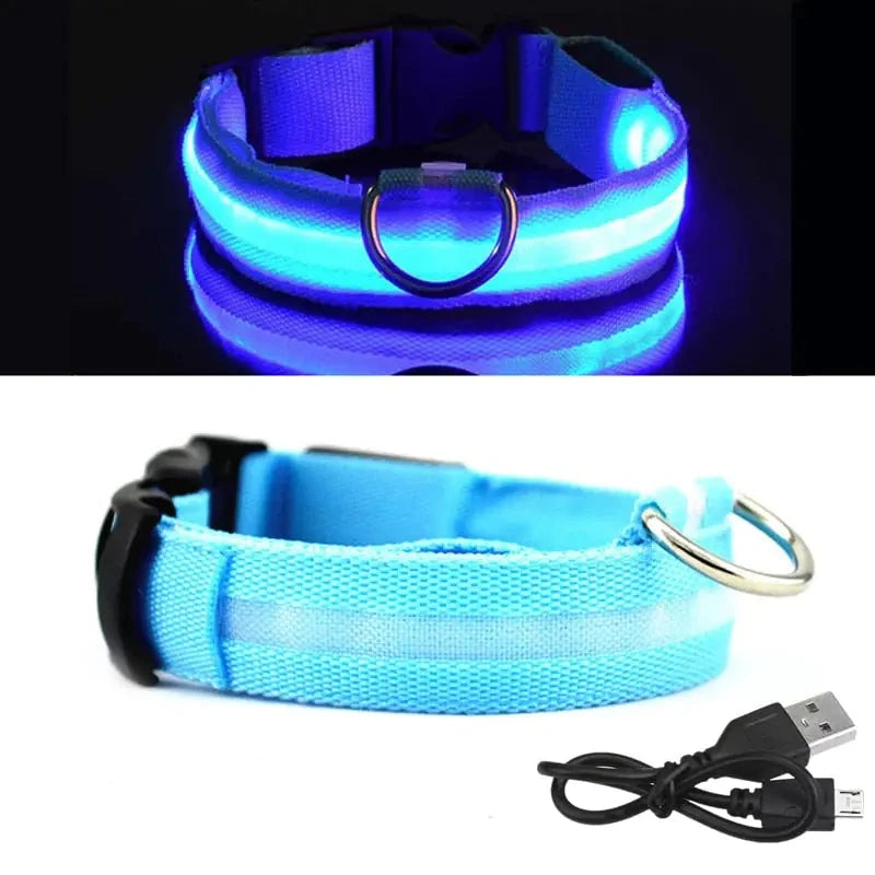 Rechargeable LED Dog Collar - BlissfulBasic