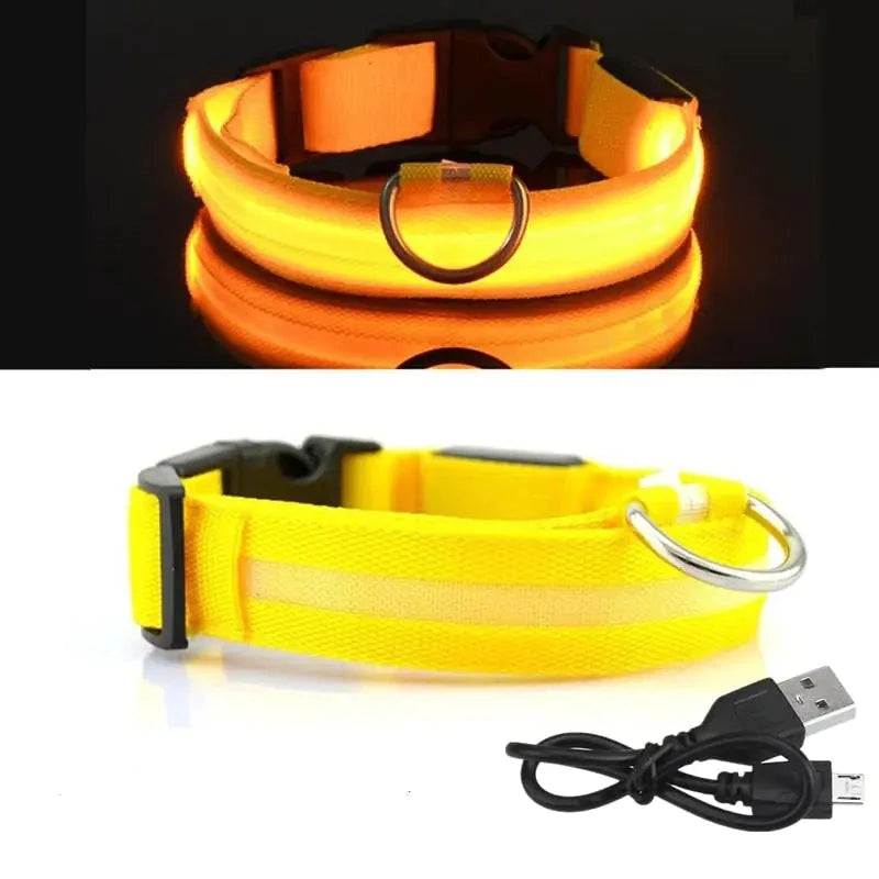 Rechargeable LED Dog Collar - BlissfulBasic