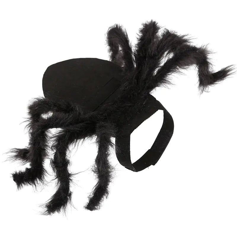 Spider Costume for Pets: Transform Your Furry Friend into a Spooktacular Superhero