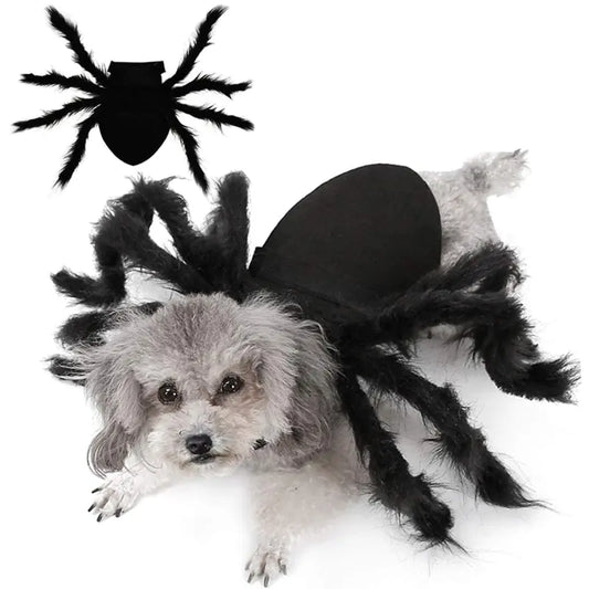 Spider Costume for Pets: Transform Your Furry Friend into a Spooktacular Superhero | available at BlissfulBasic.com