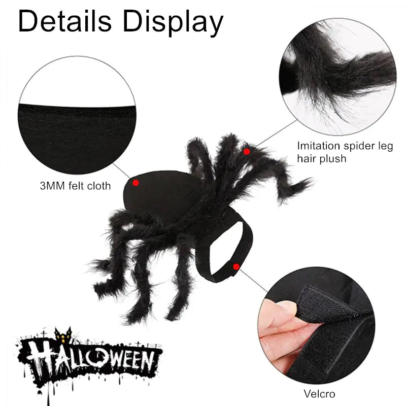 Spider Costume for Pets: Transform Your Furry Friend into a Spooktacular Superhero