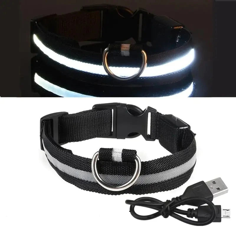 Rechargeable LED Dog Collar - BlissfulBasic