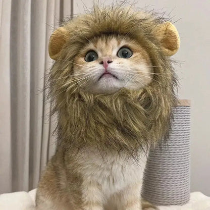 Lions Mane Cat Costume