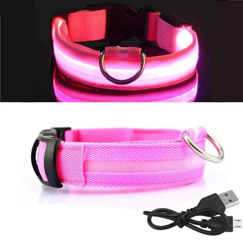 Rechargeable LED Dog Collar - BlissfulBasic